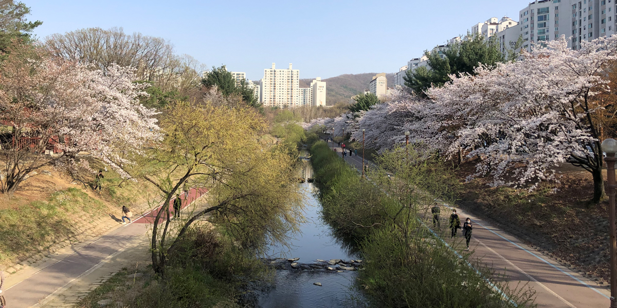 갤러리 갤러리이미지 3