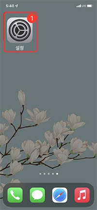스마트폰 설정