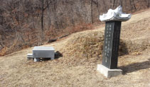 시향토문화재/정일당강씨 묘 이미지