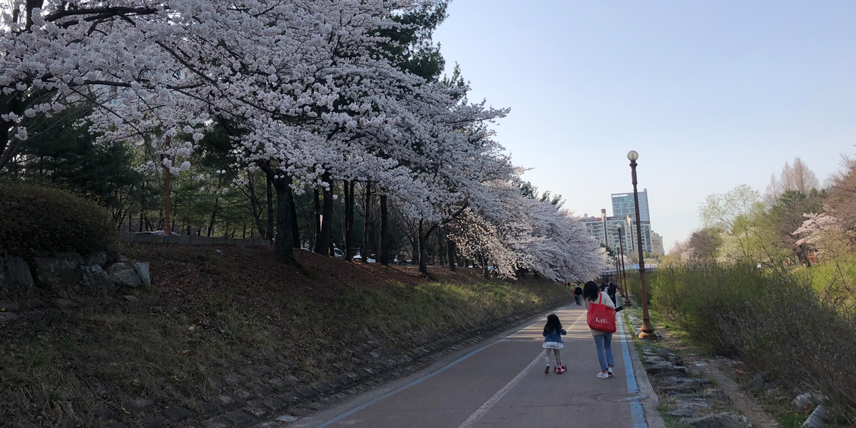 분당 중앙공원 사진