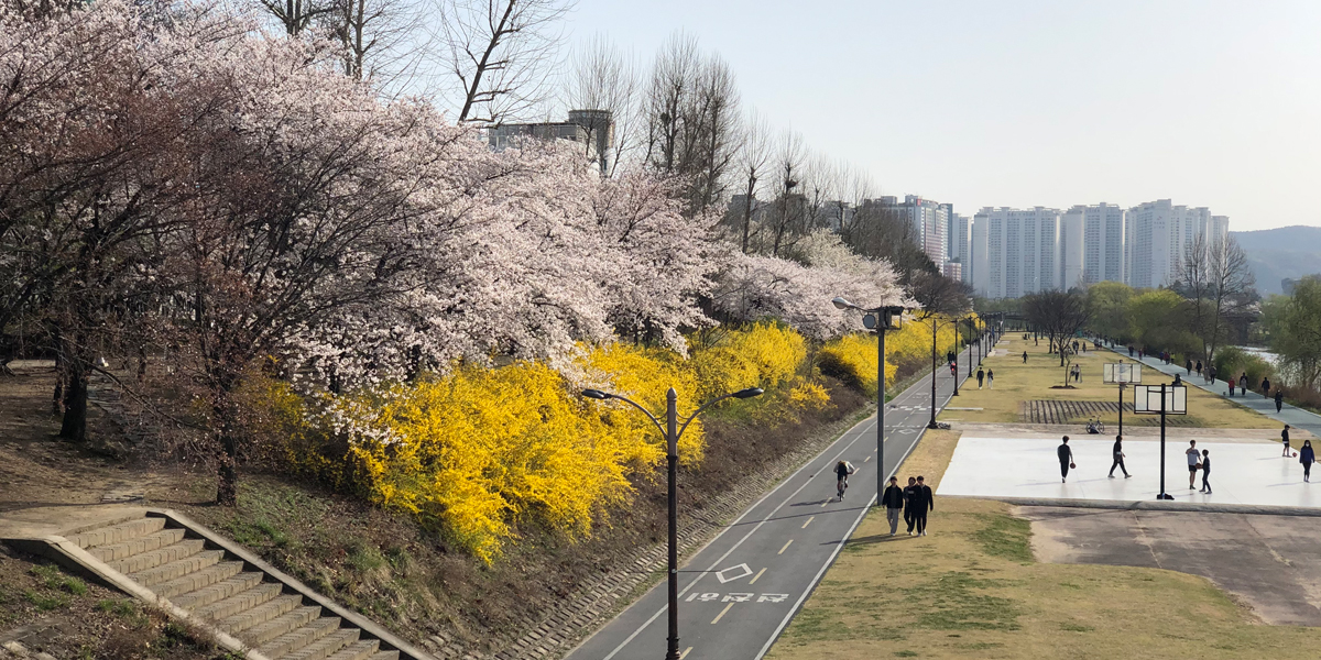제생병원 앞 공공공지 사진
