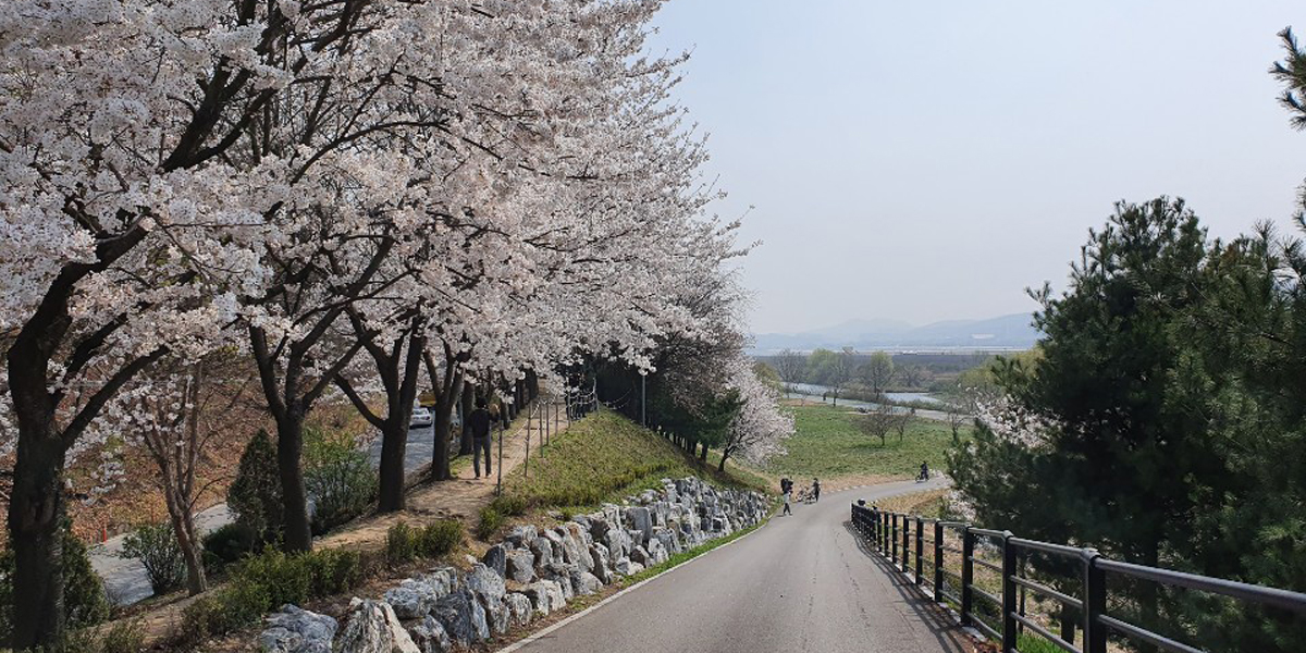태평동 탄천물놀이장 사진